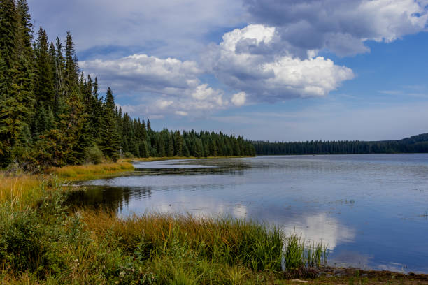 istock Swan Lake Provincial Recreation Area Alberta Canada 1470062913