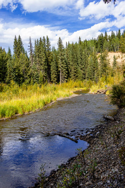 istock Tay River Provincial Recreation Area Alberta Canada 1470062922