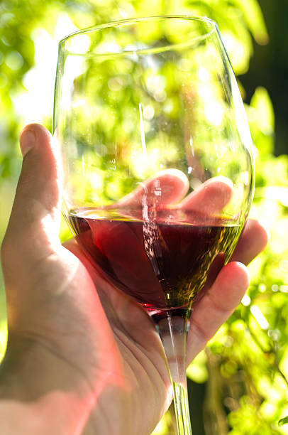 istock Sommelier holding wine glass 147006301