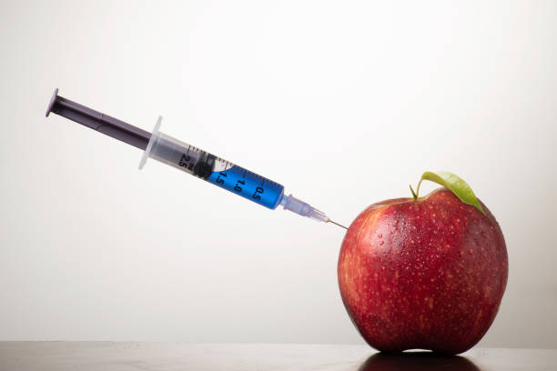 oxytocin injection in apple for increasing inorganic growth of the fruit - injecting healthy eating laboratory dna imagens e fotografias de stock