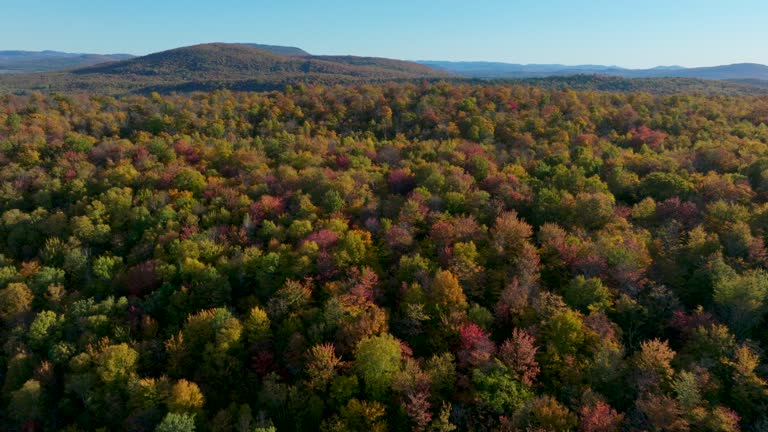 Aerial View of Multi Colored Boreal Forest and Laurentian Mountain Landscape in Autumn, Quebec, Canada