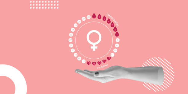 cykl menstruacyjny nad kobiecą ręką. antykoncepcja, koncepcja planowania ciąży. minimalistyczny kolaż - cykl zdjęcia i obrazy z banku zdjęć