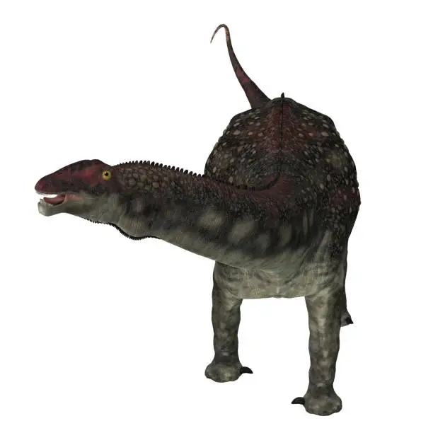 Photo of Diamantinasaurus Sauropod Dinosaur