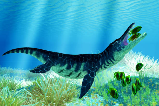 istock Liopleurodon catches Lemonpeel Angelfish 1470070781