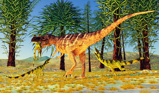 A carnivorous theropod Ceratosaurus dinosaur kills a smaller Juravenator during the Jurassic Period.