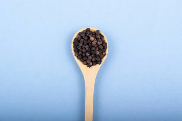 Wooden spoon with black pepper in a minimalist style. Top view.