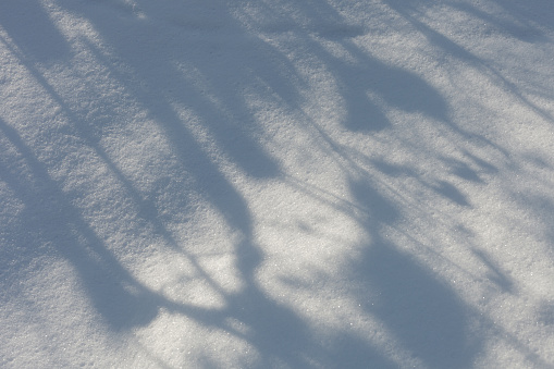Shadows on the surface of snow in the winter forest