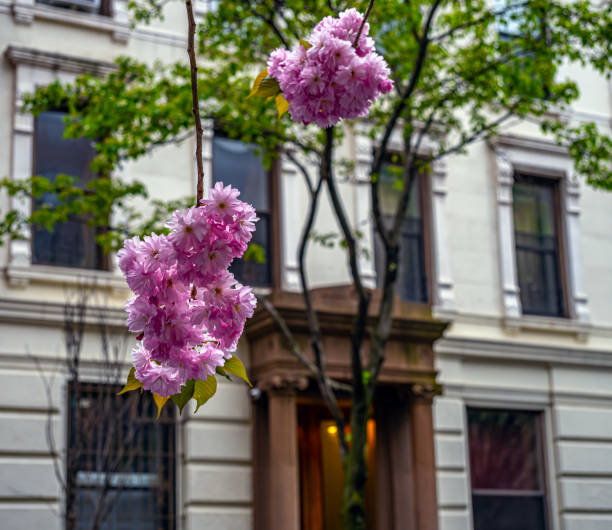 istock View of Upper East Side Manhattan 1470072434