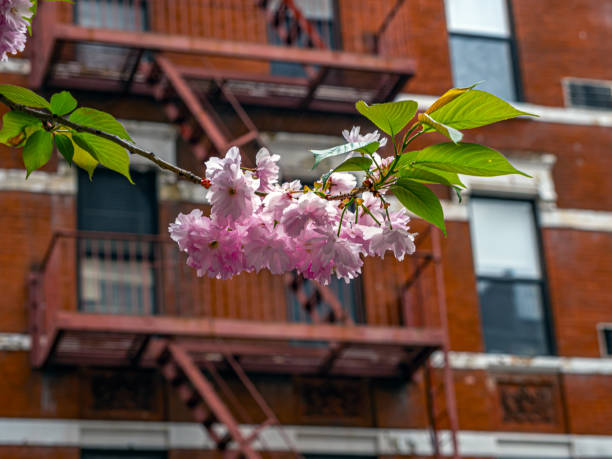 istock View of Upper East Side Manhattan 1470073165