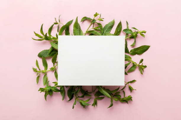istock Wreath frame made of empty paper blank with space for text and mint leaves on colored background. . Mint Pattern. Flat lay. Top view 1470075152