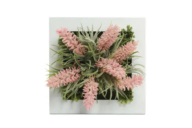 Flores artificiales Plectranthus amboinicus suculentas, cactus y lavanda en marcos de madera blanco. decoración de ambientes