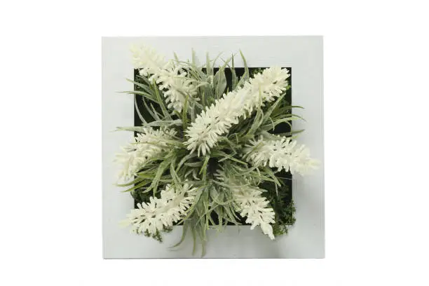 Flores artificiales Plectranthus amboinicus suculentas, cactus y lavanda en marcos de madera blanco. decoración de ambientes
