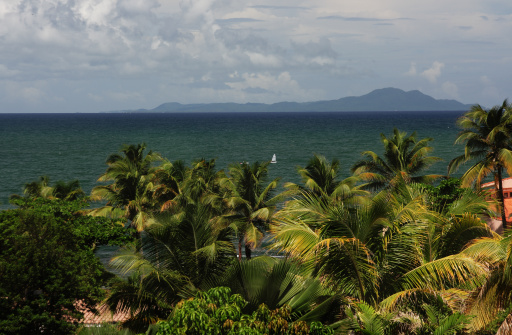 view of the island of vieques from palms of the puerto rico sea