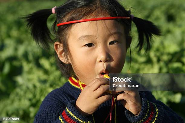 Rapariga Feliz - Fotografias de stock e mais imagens de Cultura Indígena - Cultura Indígena, 2-3 Anos, Brincar