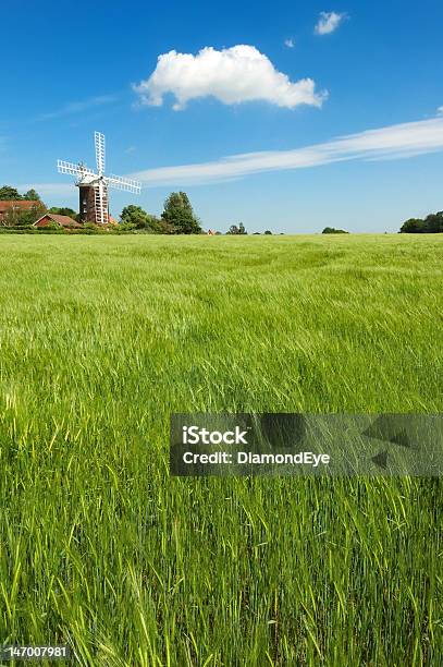 Moinho De Vento Inglês - Fotografias de stock e mais imagens de Agricultura - Agricultura, Ao Ar Livre, Azul