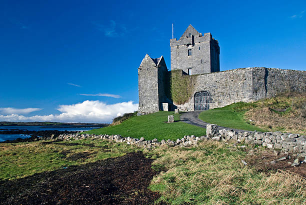 istock Dunguaire castle in Kinvara County Galway Ireland 147008113