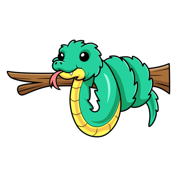 Cute green spiny bush viper cartoon on tree branch Vector illustration of Cute green spiny bush viper cartoon on tree branch african bush viper venomous snake stock illustrations