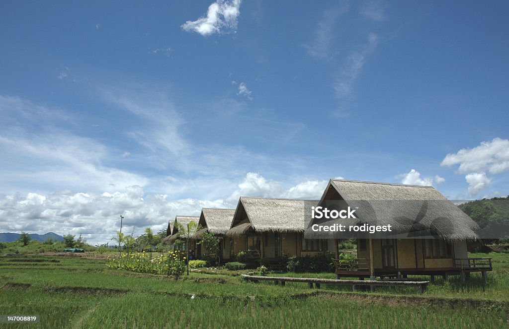Paddy Resort país - Foto de stock de Campo de arroz libre de derechos