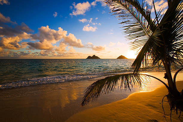 istock Lanikai Beach in Hawaii sunrise scene 147008971