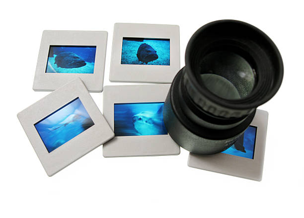 lupa de aumento con guías - loupe lightbox magnifying glass photography fotografías e imágenes de stock