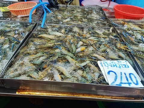 Fresh white shrimps on crushed ice for sale in market Raw prawns for cooking