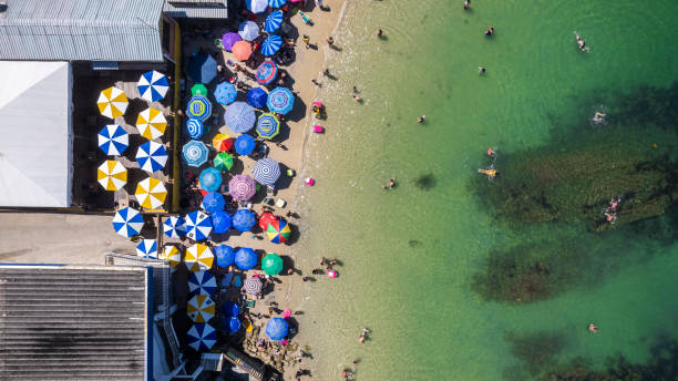 istock beach umbrellas with bathers in the greenish sea 1470094467