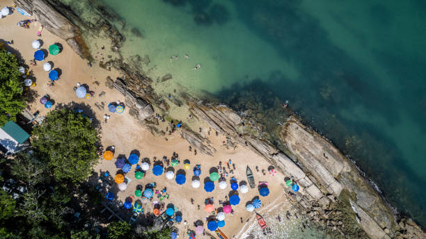 istock beach umbrellas with bathers in the greenish sea 1470094523