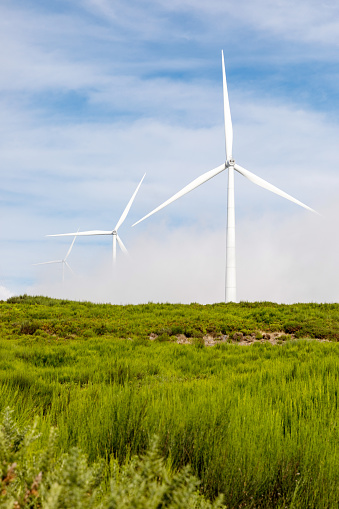 Green energy - Wind Turbines, Windmill propeller generators