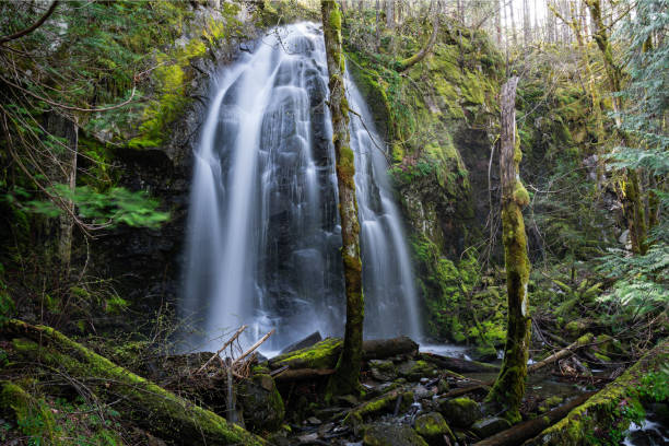 istock Christie Falls Ladysmith BC 1470106472