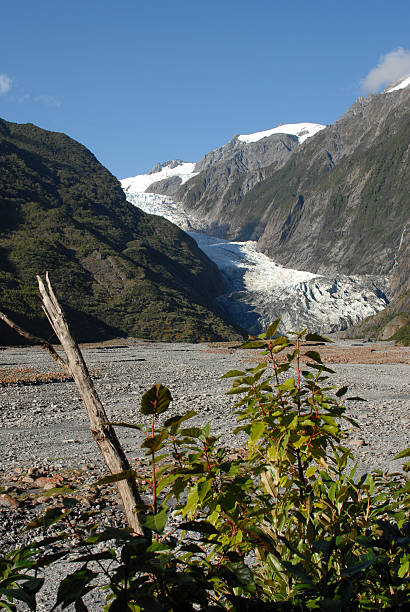 Cтоковое фото Fox Glacier, Южный остров Новой Зеландии