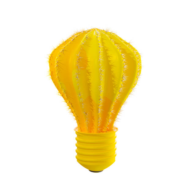 Yellow bulb shaped cactus on yellow background. Designed in minimal concept.