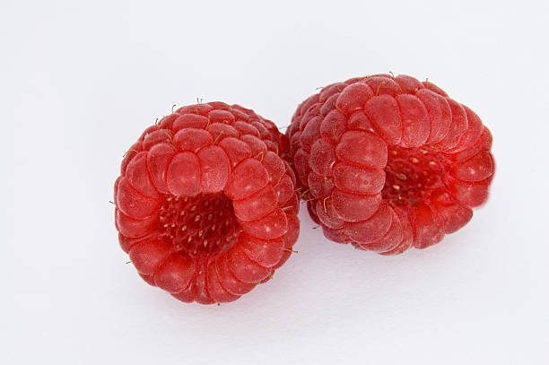Sweet Berries stock photo