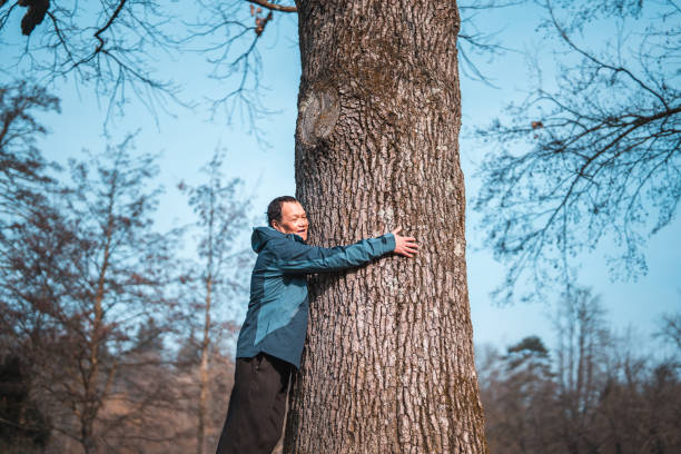 istock Senior Asian Male Hugging A Tree In Nature 1470122332