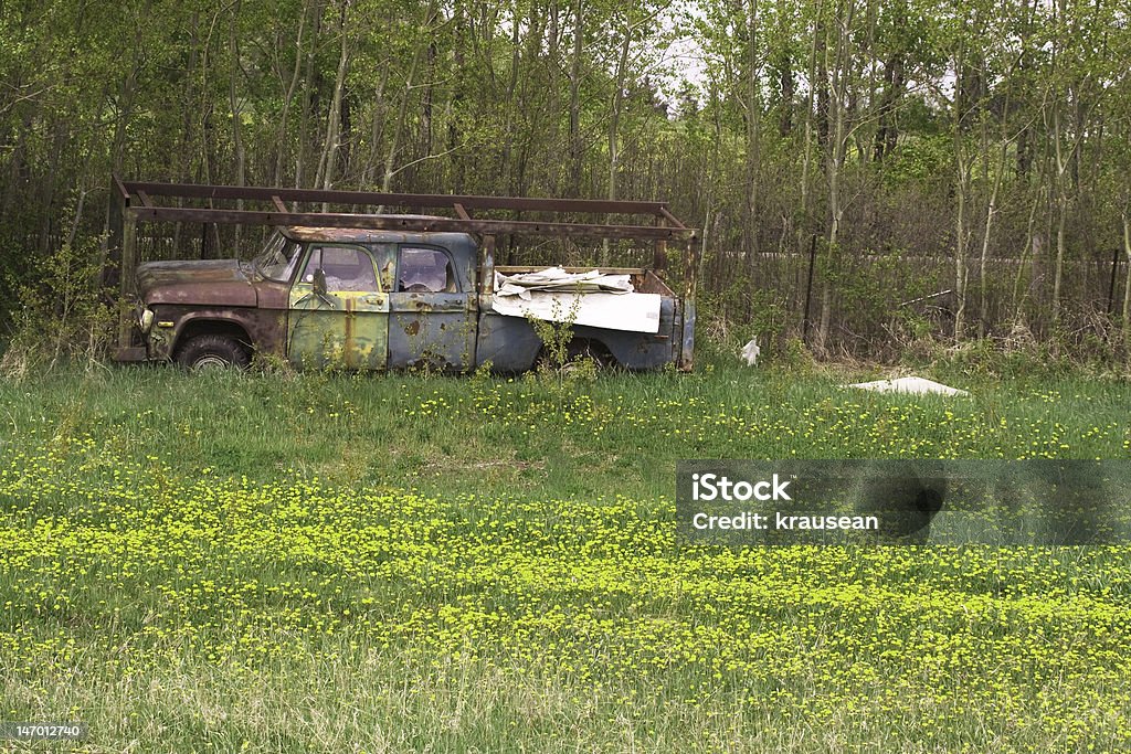 Truck and Dandelions An old wrecked truck with junk and garbage in the back sitting in a bed of dandelions in a field with trees in the background. Beauty In Nature Stock Photo