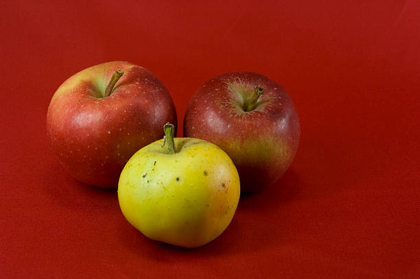 Three apples stock photo