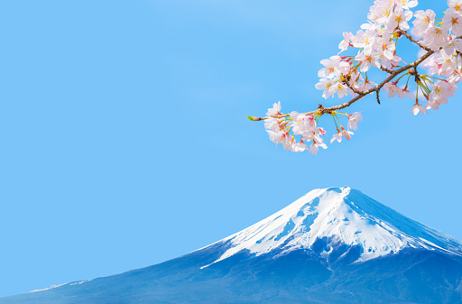 Image scenery of spring in Japan with Mt. Fuji, cherry blossoms and blue sky.