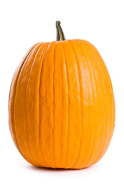 Photo of Large orange pumpkin against white background