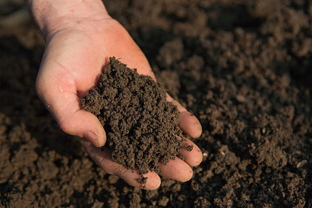 istock Handful of ground 147012937