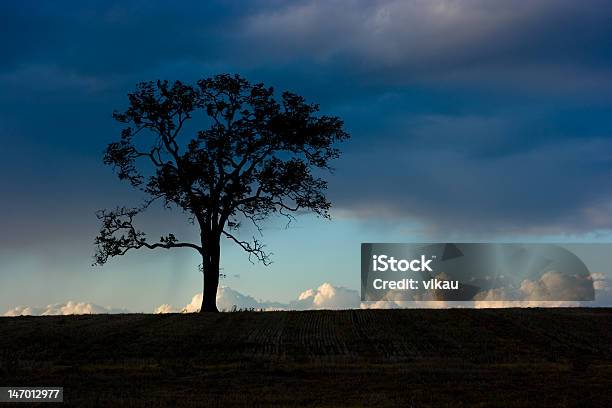 Lonely Tree Stock Photo - Download Image Now - Blue, Cloud - Sky, Cloudscape