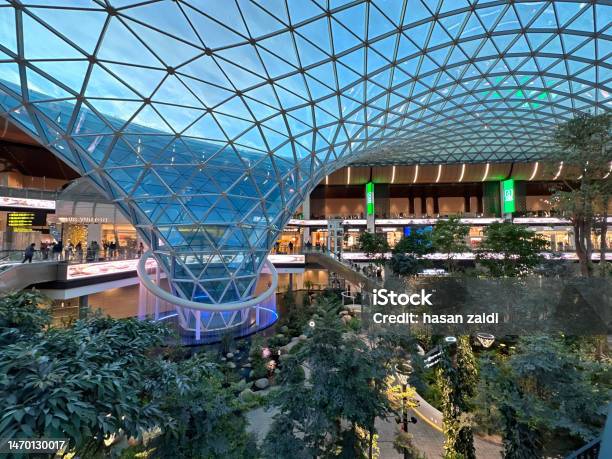 Hamad International Airport Expands With Indoor Tropical Garden Stock Photo - Download Image Now