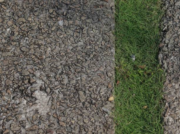istock grass in the gap between the two roads on the left and on the right 1470134729