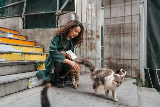hermosa mujer morena tocando gato en la calle de estambul - domestic cat city life animal pets fotografías e imágenes de stock