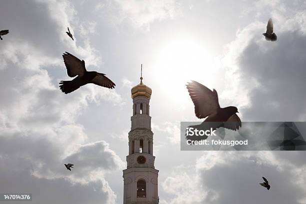 Cielo Foto de stock y más banco de imágenes de Ala de animal - Ala de animal, Campanario - Torre, Capilla