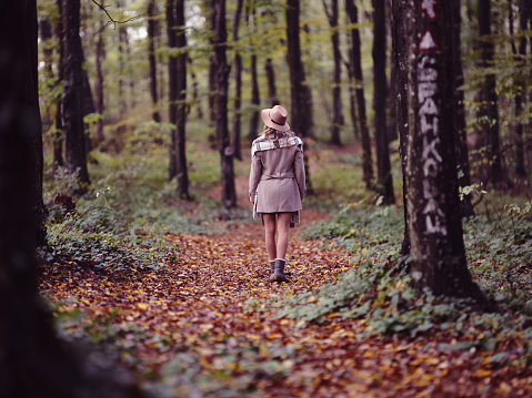 Rear view of a woman walking among trees during autumn day in the forest. Copy space. Photographed in medium format.