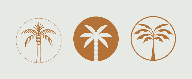 Vector logo design template with palm tree - abstract summer and vacation badge and emblem for holiday rentals, travel services, tropical spa and beauty studios