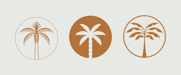 Vector logo design template with palm tree - abstract summer and vacation badge and emblem for holiday rentals, travel services, tropical spa and beauty studios vector art illustration