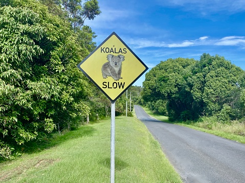 Horizontal public street sign  saying: 'slow koalas' noting urging drivers to slow down driving on rural roadway in Newrybar near Byron Bay area NSW Australia