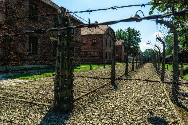 patio de la cerca eléctrica, campo de concentración de auschwitz birkenau polonia - birkenau fotografías e imágenes de stock
