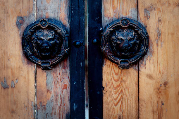 alte tür mit antikem eisenlöwen, türklopfer - door knocker door lion luxury stock-fotos und bilder