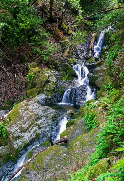istock Stunning waterfall cascading through a narrow canyon surrounded by lush greenery 1470150829